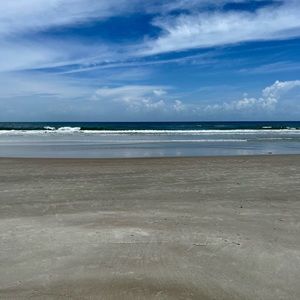 Meet your Posher, Chelsea